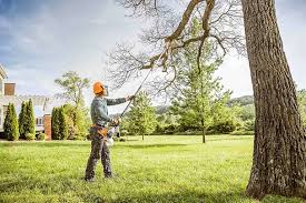 Best Tree Disease Treatment  in Countryside, VA