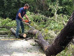 Best Seasonal Cleanup (Spring/Fall)  in Countryside, VA